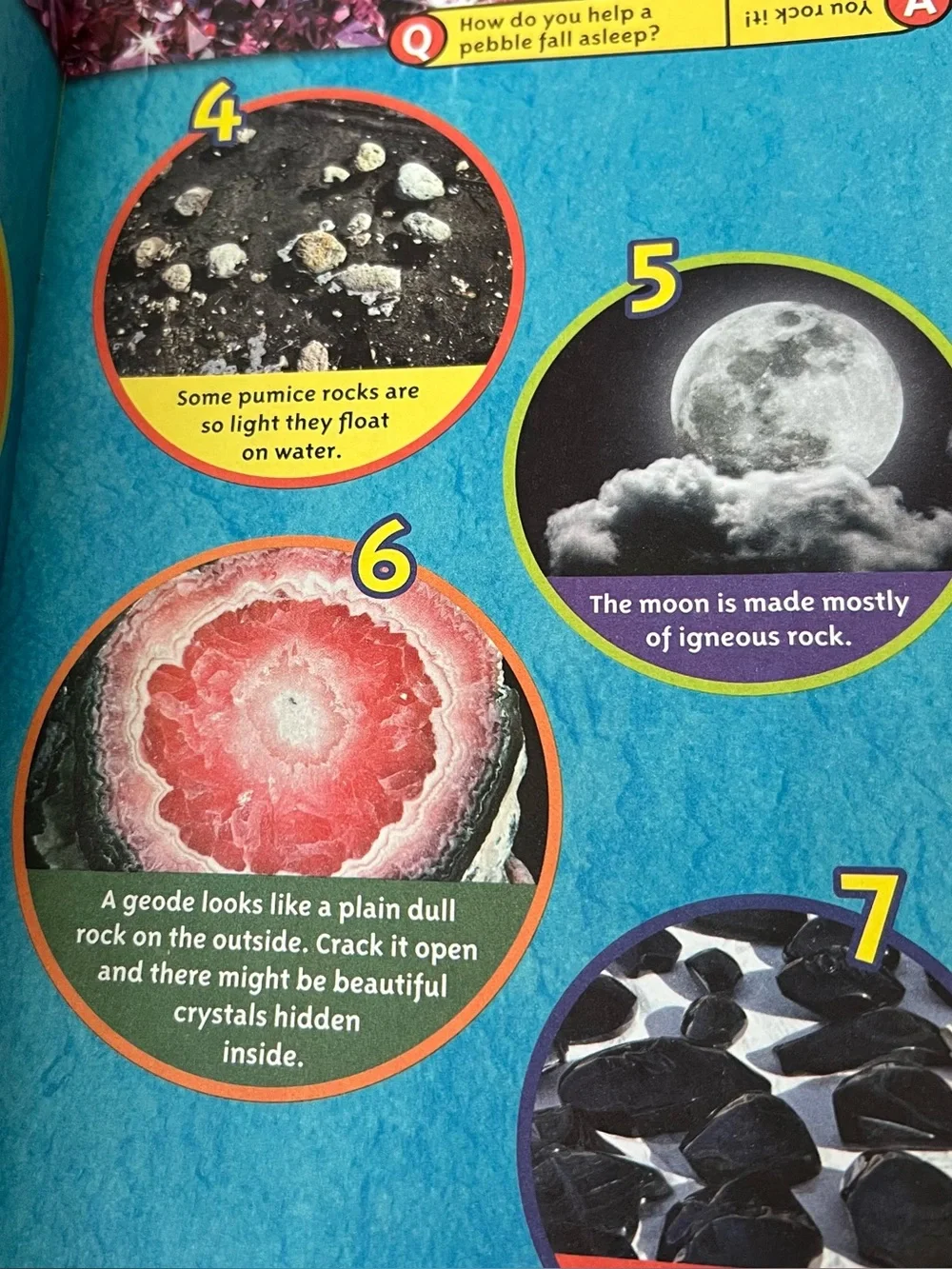 National Geographic Kids Book Lot - Colorful Science & Nature Titles Level 2